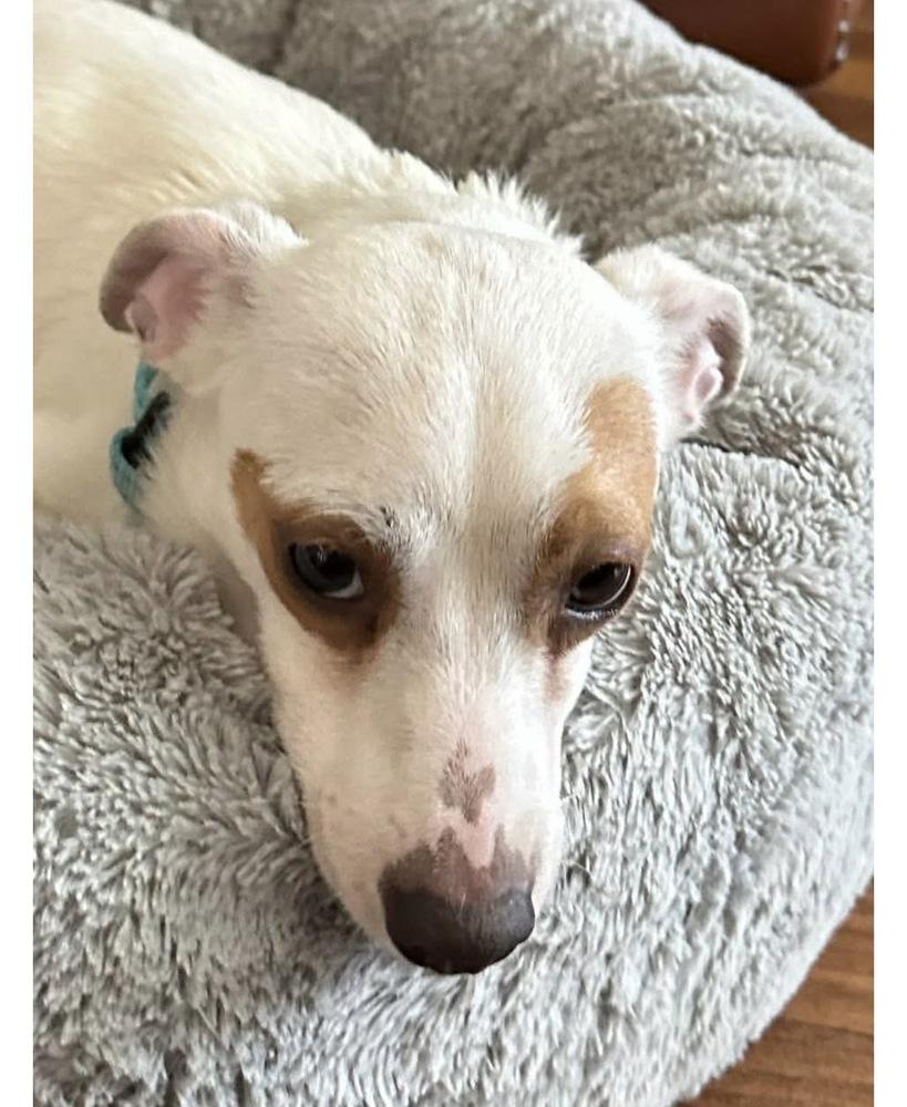 Ryan — thumbnail 2