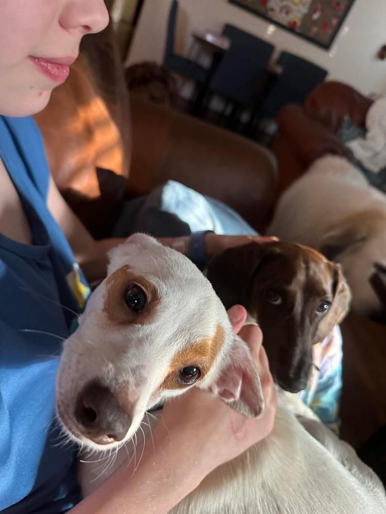 Ryan — thumbnail 3