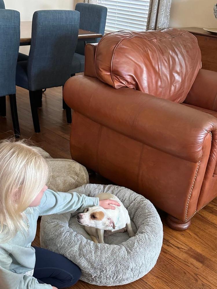 Ryan — thumbnail 5