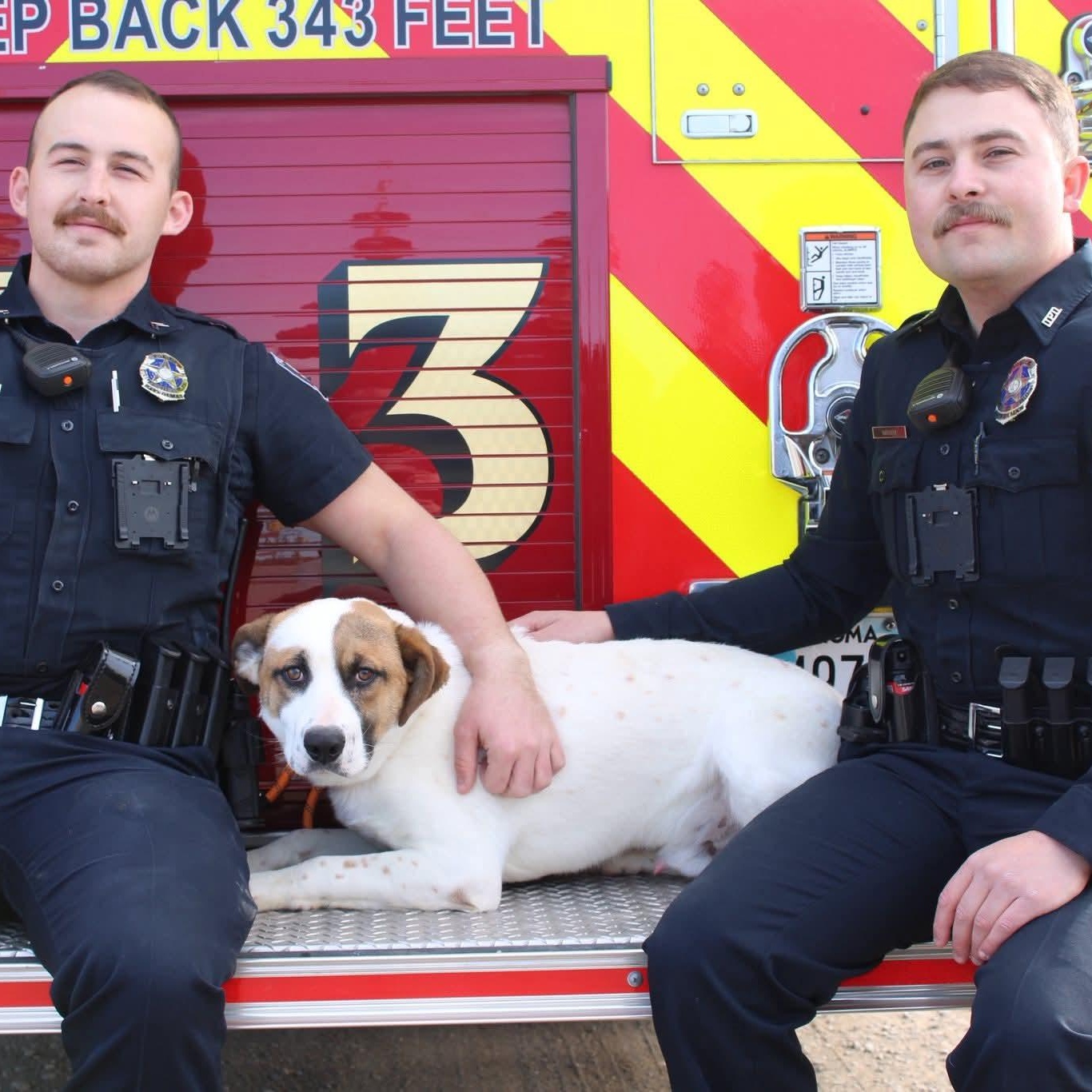 Enlarge Iron, an adopted Mixed Breed in Durant, OK image 1/5
