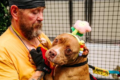 Enlarge Zura, a Adoptable Mixed Breed in West Chester, PA image 4/4