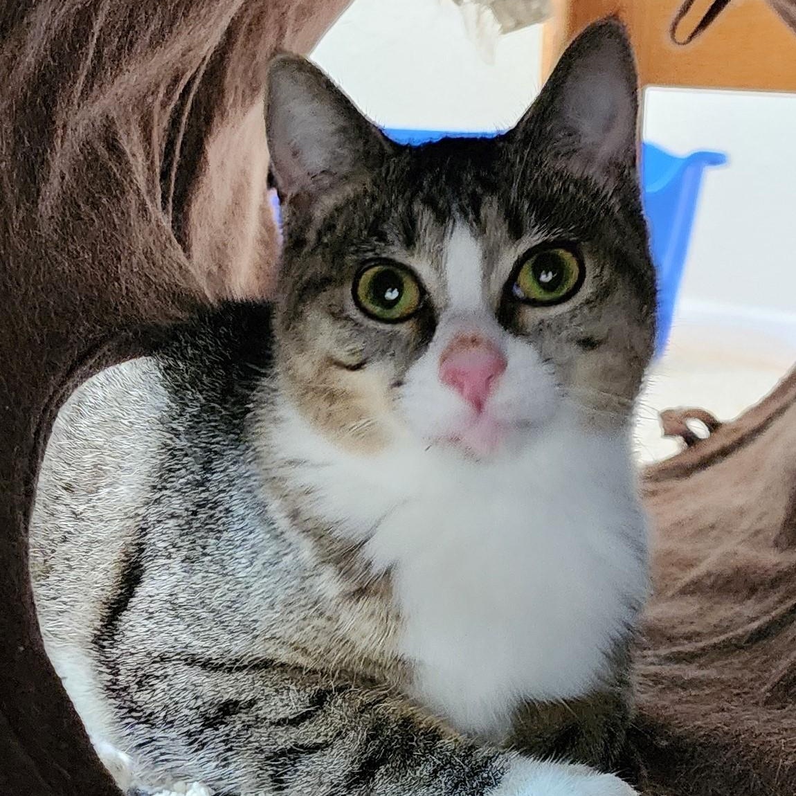 Martie - Wobbly - Very Loving