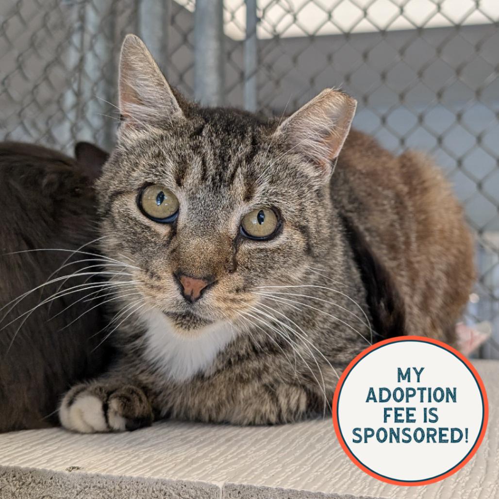 Bluey — thumbnail 5