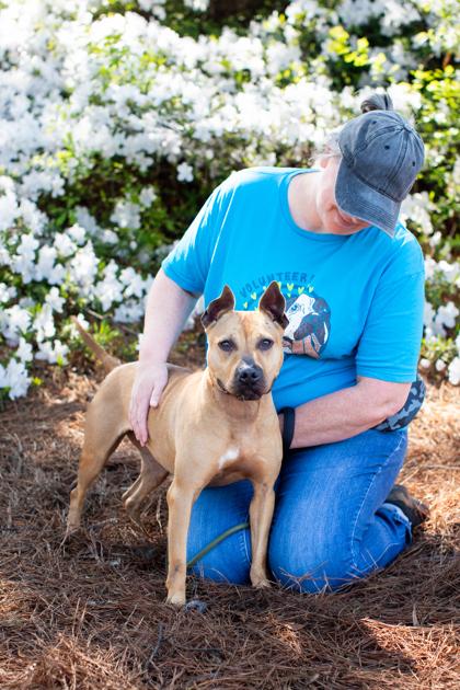 Lemonancy — thumbnail 2