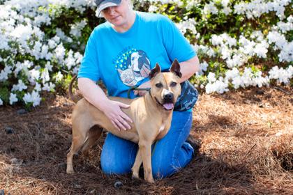 Lemonancy — thumbnail 4