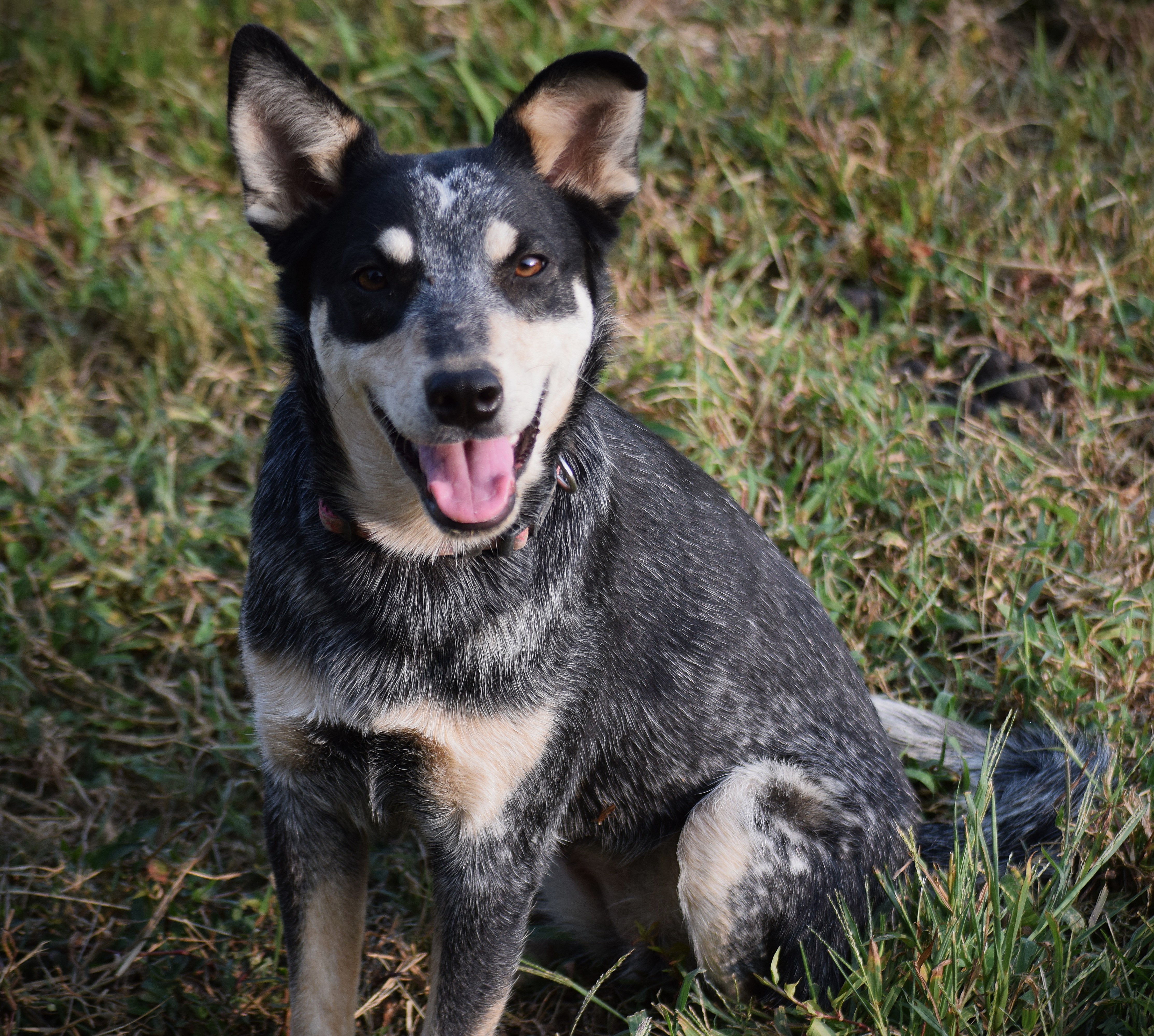 Kelly-Playful Girlie!