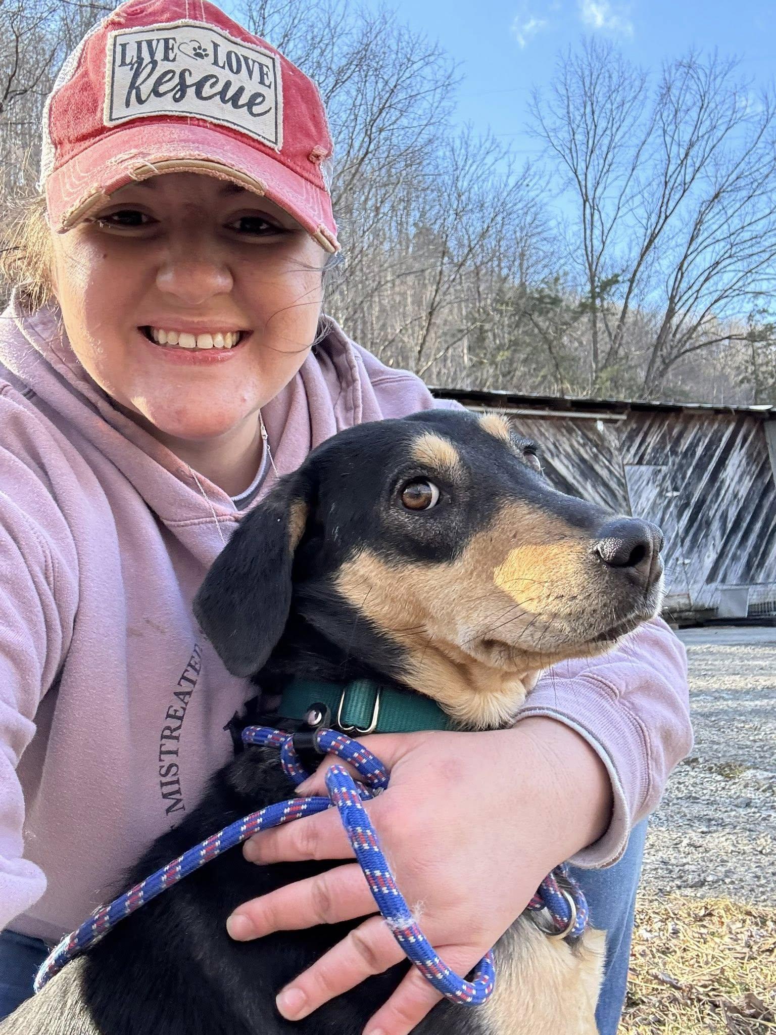 Tiffany (1yo,35lbs), Adoptable, Adult Female Hound.