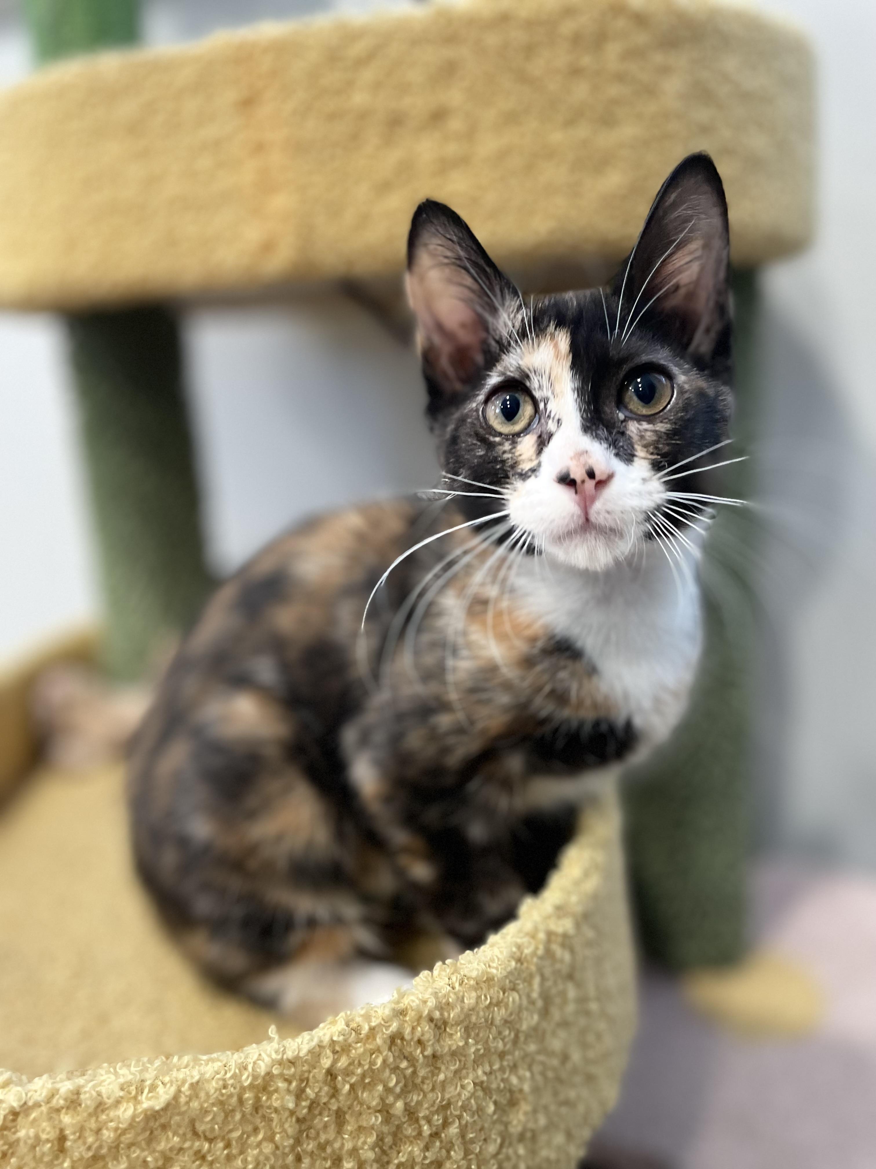 Emily Cooper thumbnail 3