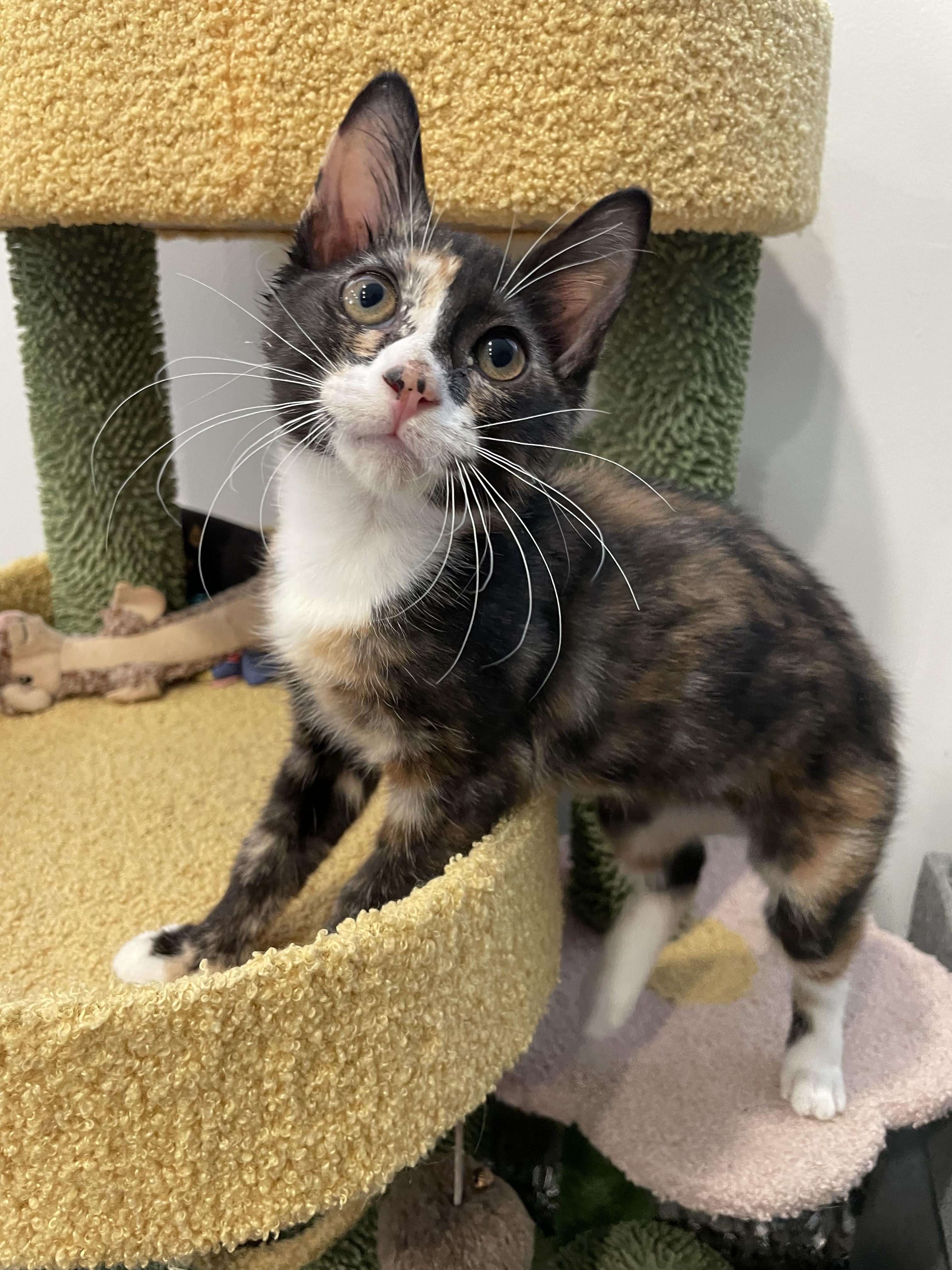 Emily Cooper thumbnail 5