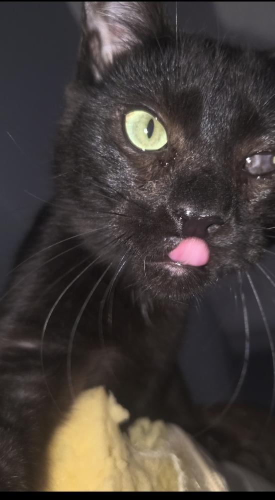 Wavy Gravy thumbnail 3