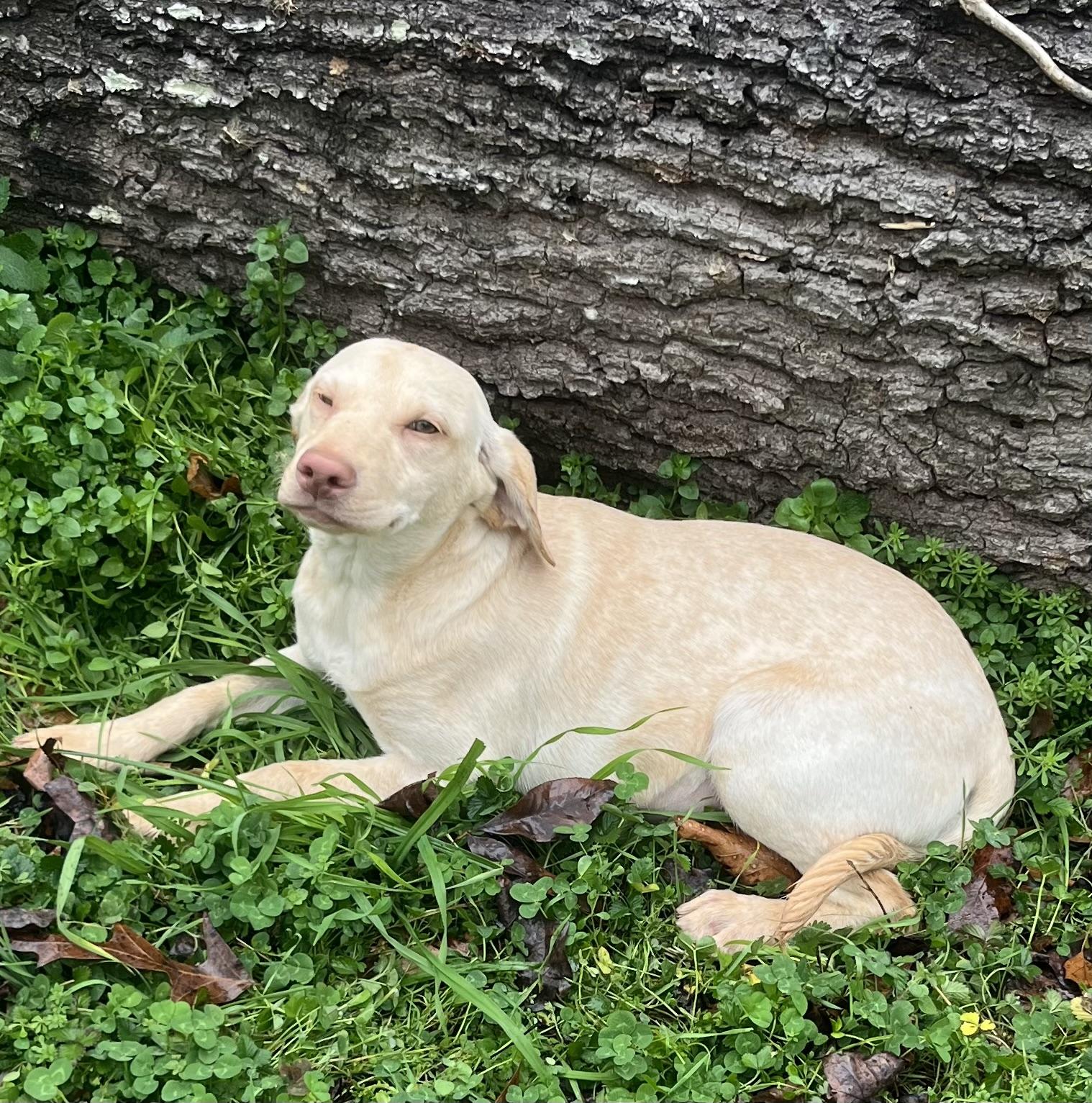 Gemma — thumbnail 3