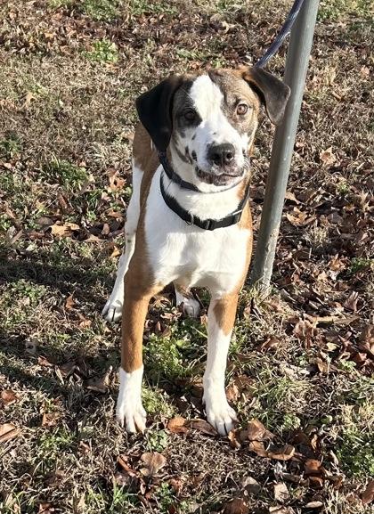 Rosie — thumbnail 2