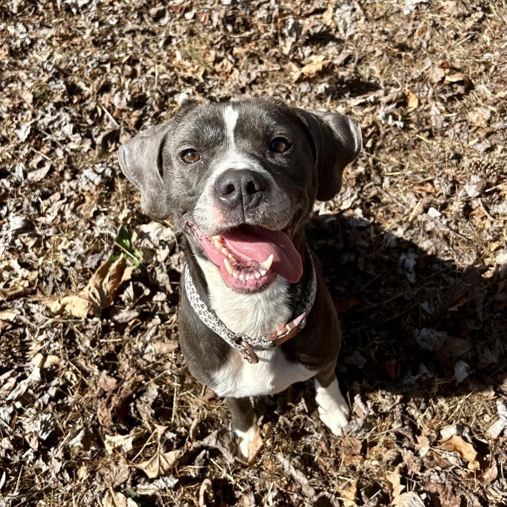 Penny — thumbnail 2