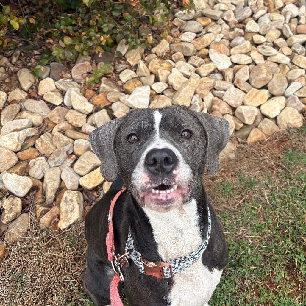 Penny — thumbnail 4