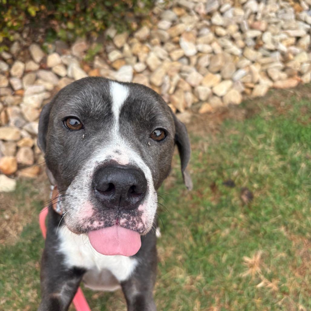 Penny — thumbnail 5