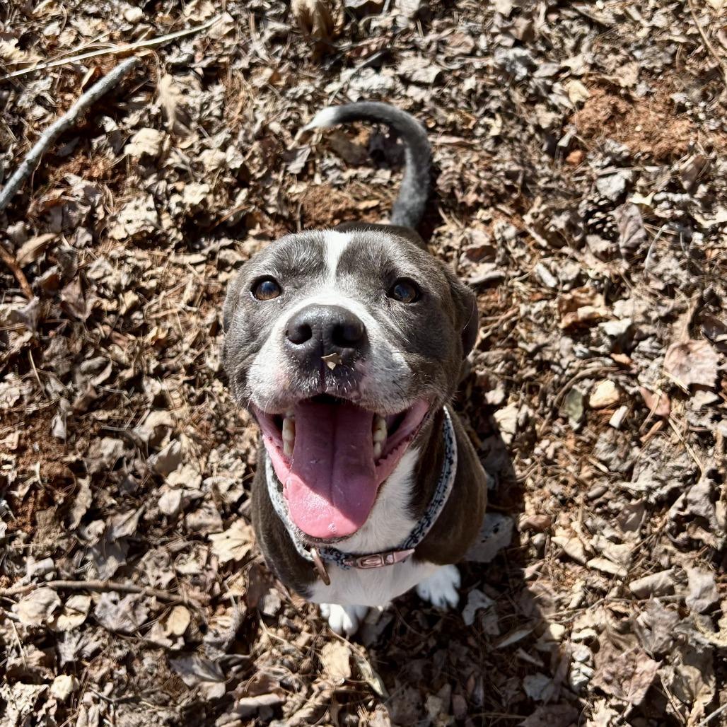 Penny — thumbnail 6