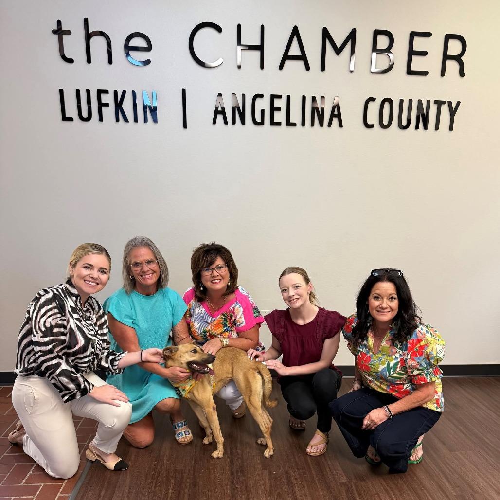Enlarge Ruka, a Adoptable Black Mouth Cur in Lufkin, TX image 2/5