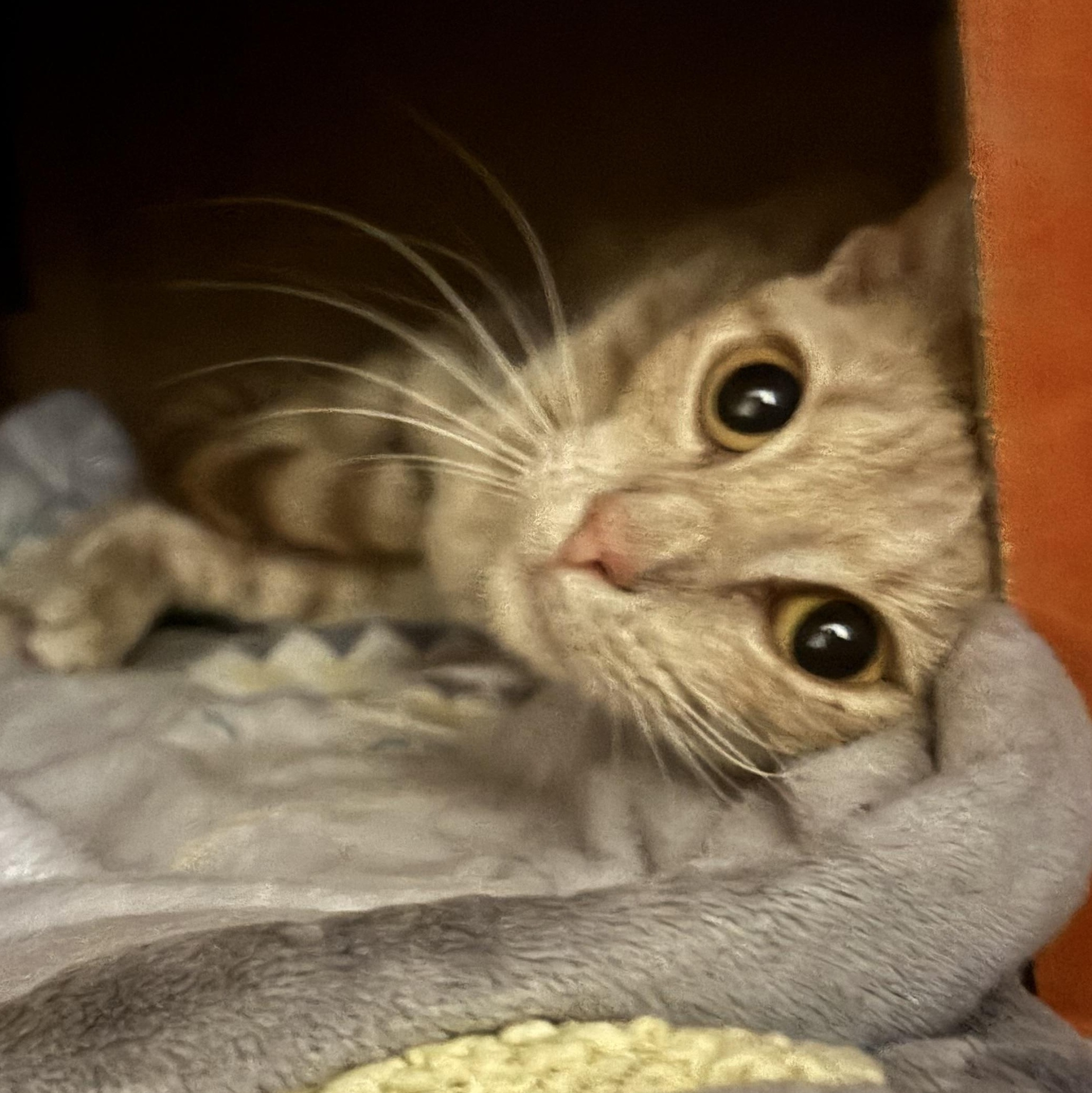 ME<ME & her baby PUMPKIN