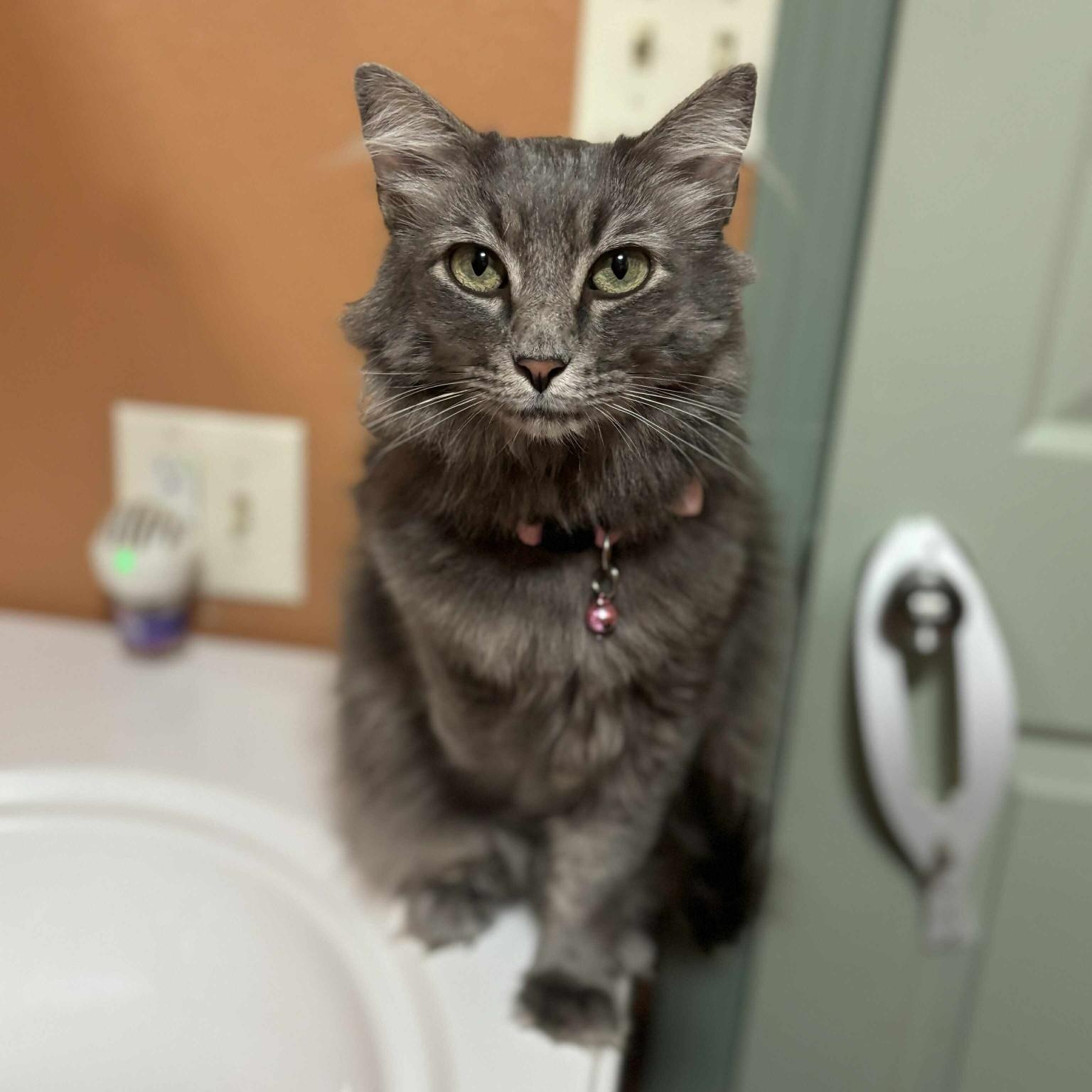 Susan