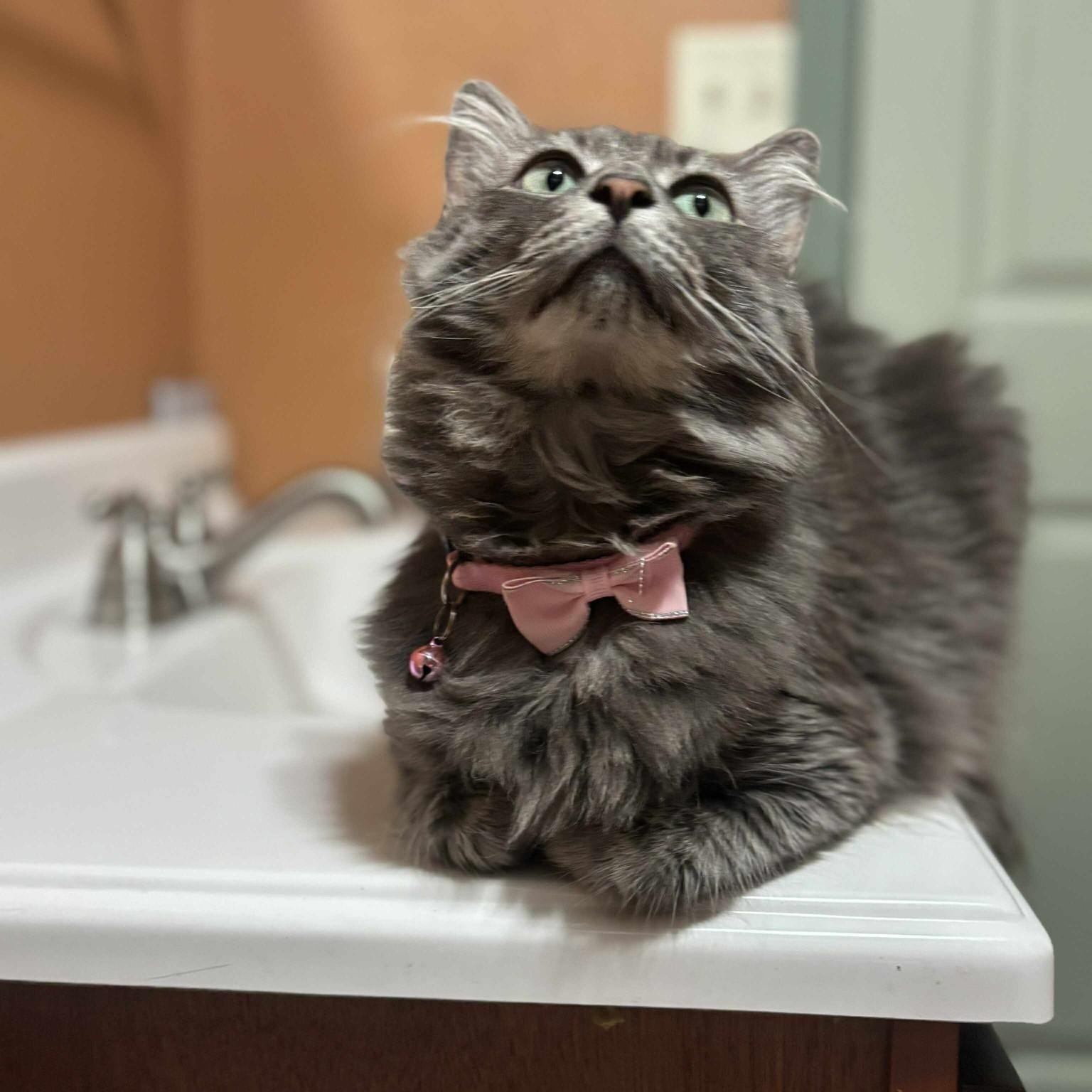 Susan