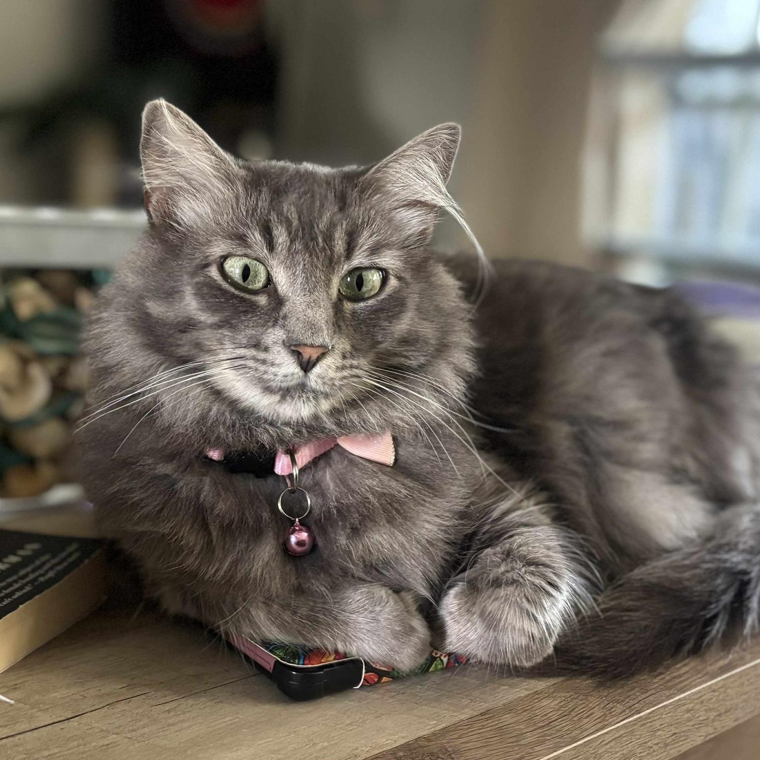 Susan