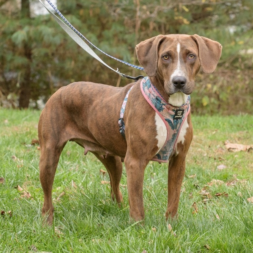 Abby - CTS2025 photo 3