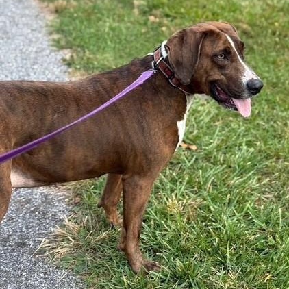 Abby — thumbnail 3