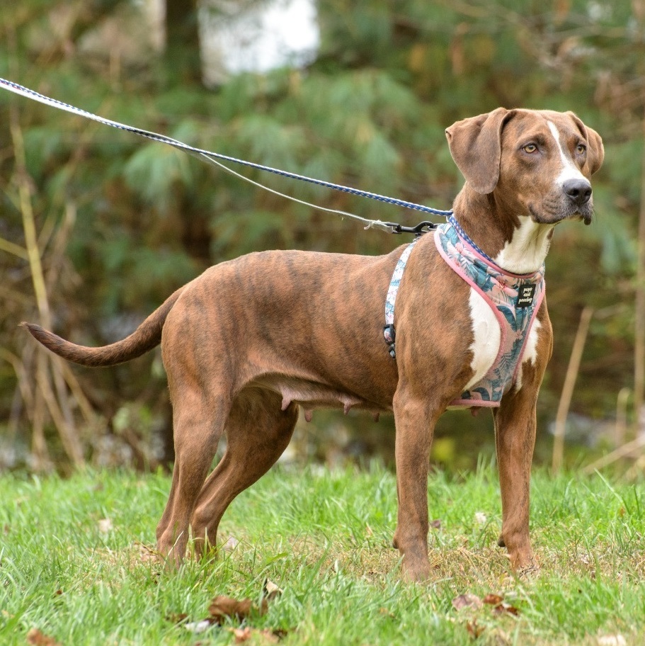 Abby - CTS2025 photo 2