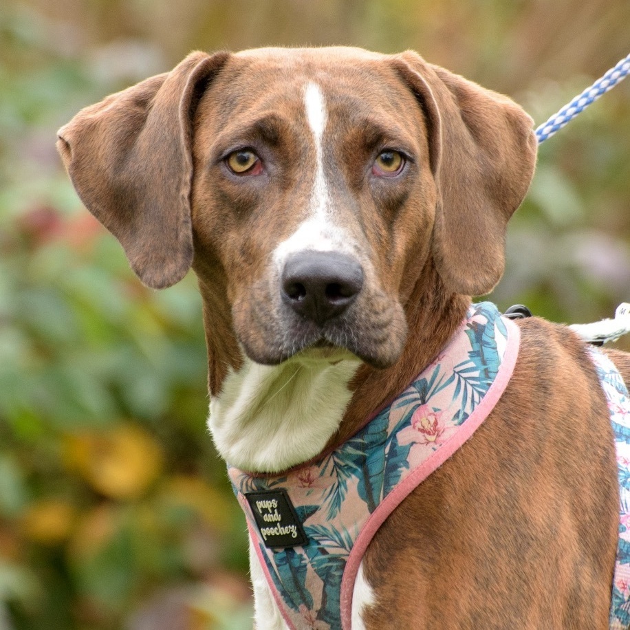 Abby - CTS2025 photo 4