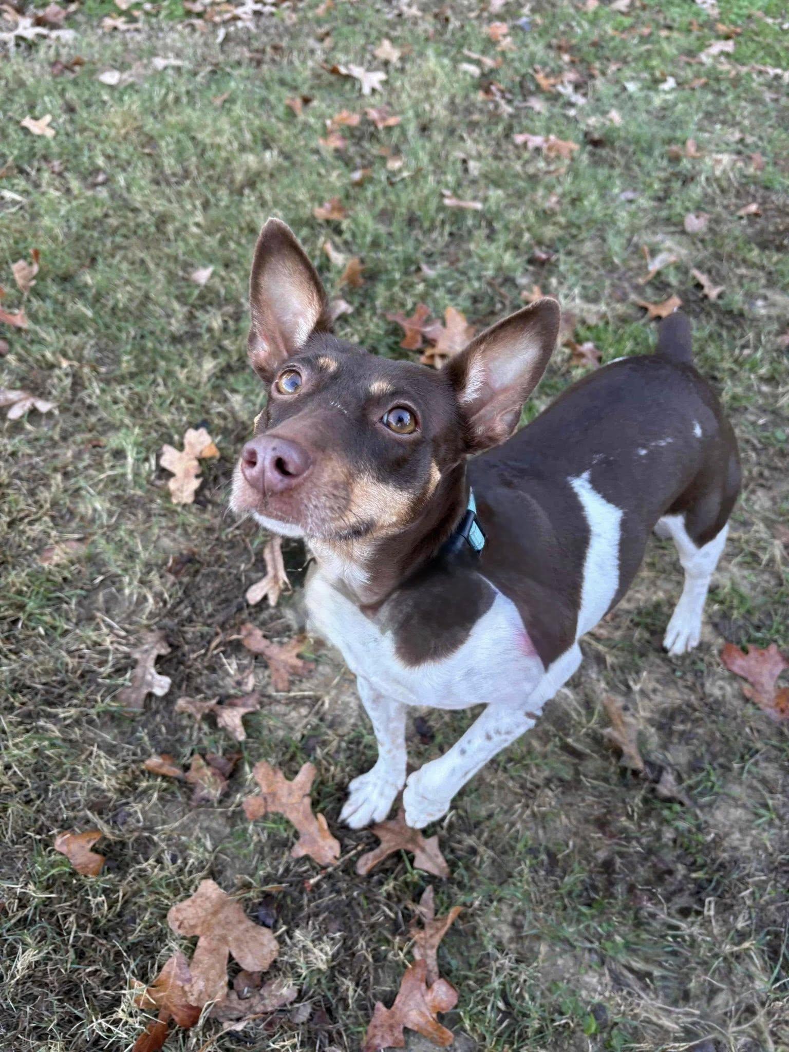 Penny Lou (20260111-02)