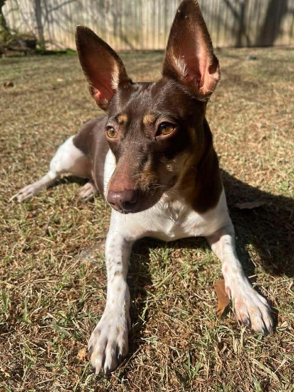 Penny Lou (20260111-02) — thumbnail 2