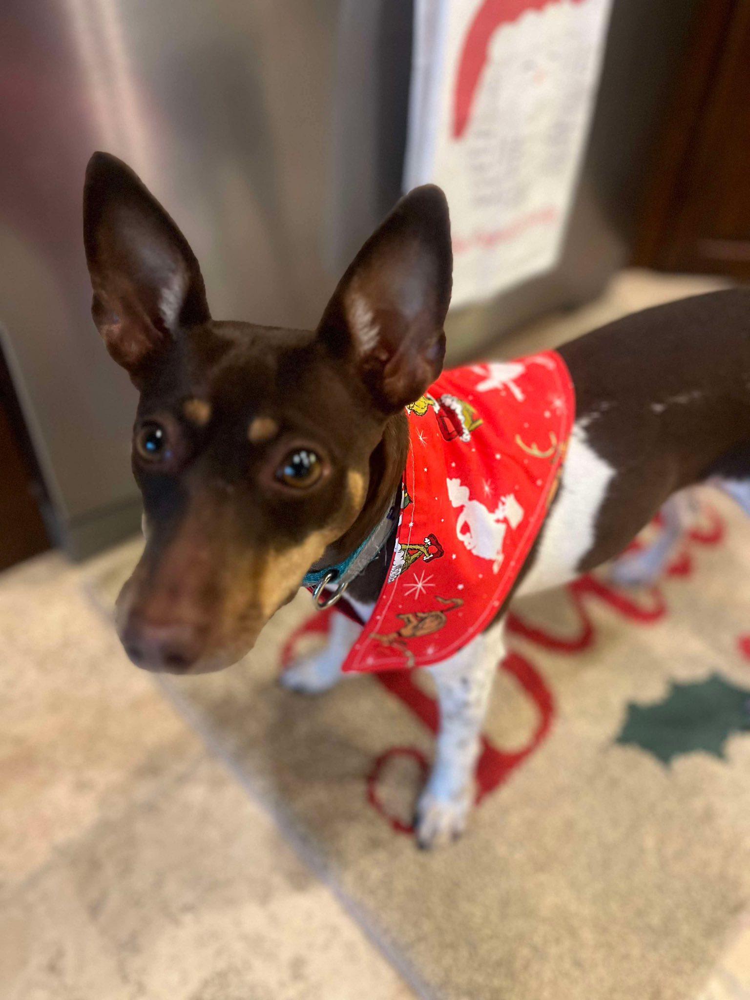 Penny Lou (20260111-02) — thumbnail 4