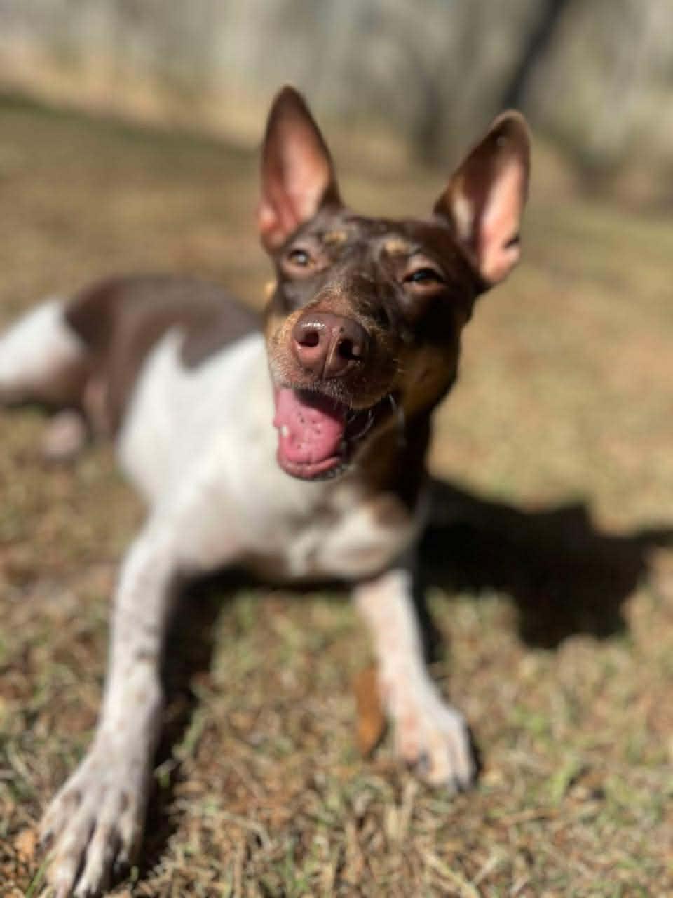 Penny Lou (20260111-02) — thumbnail 5