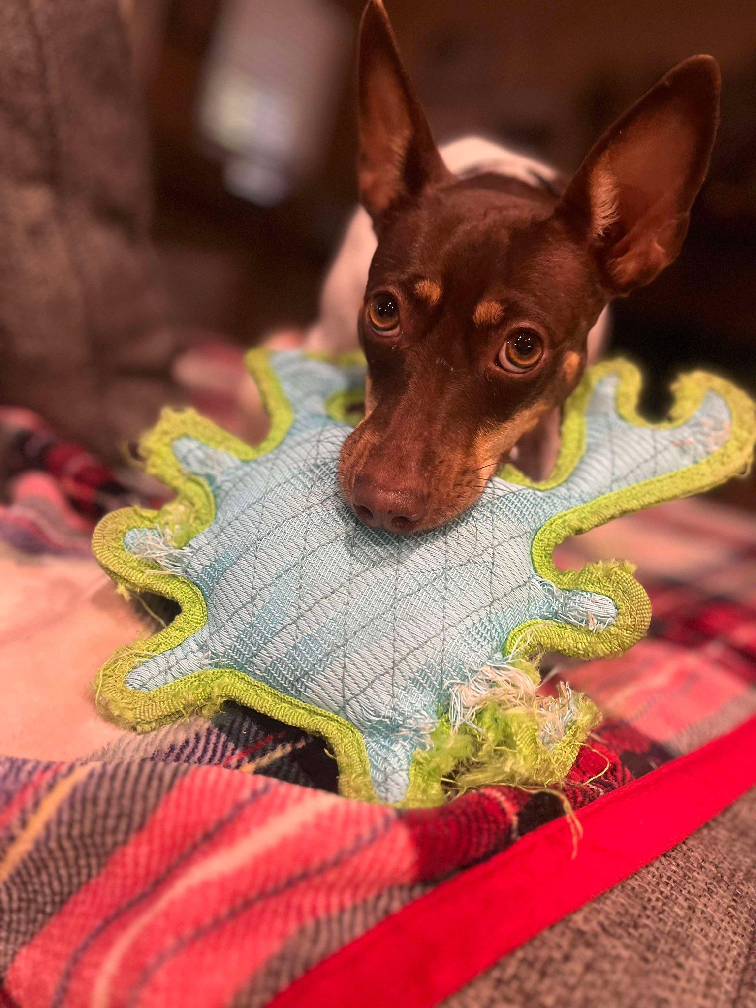 Penny Lou (20260111-02) — thumbnail 6