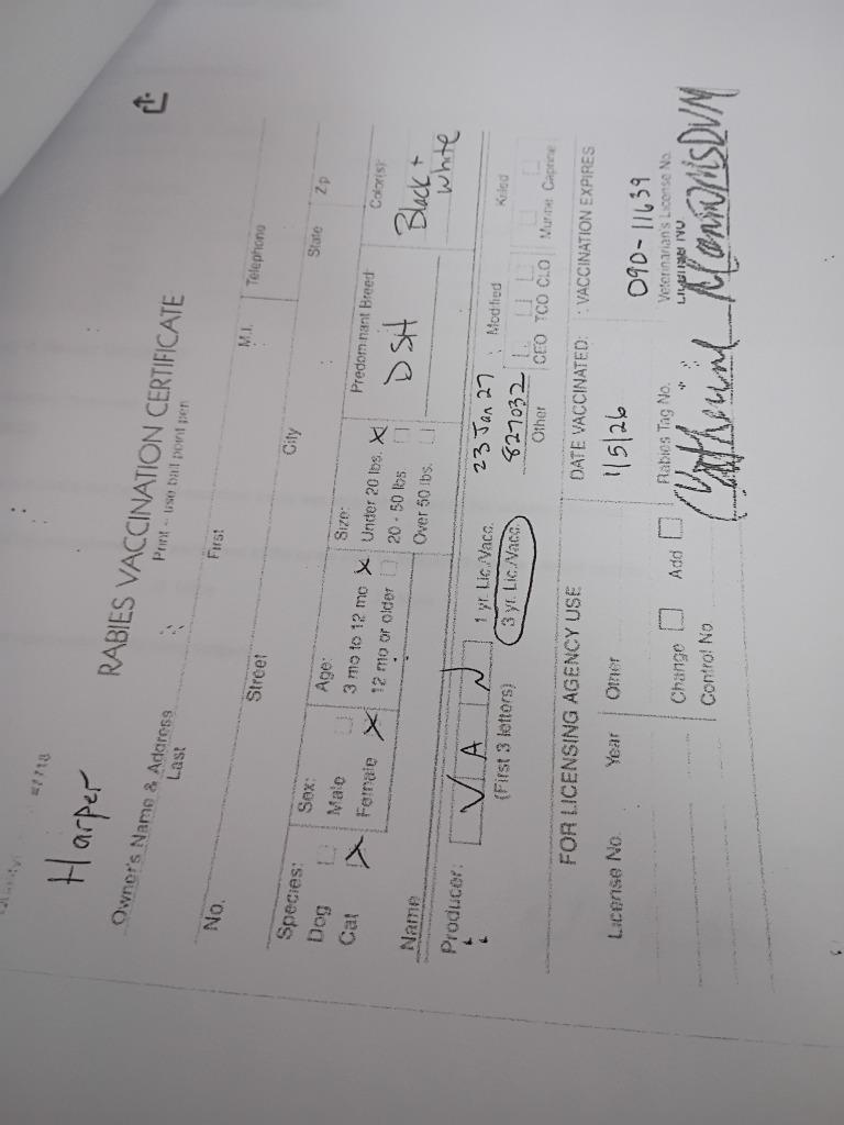 Enlarge Cricket & Harper, a Adopted mixed breed in Rockford, IL image 4/4