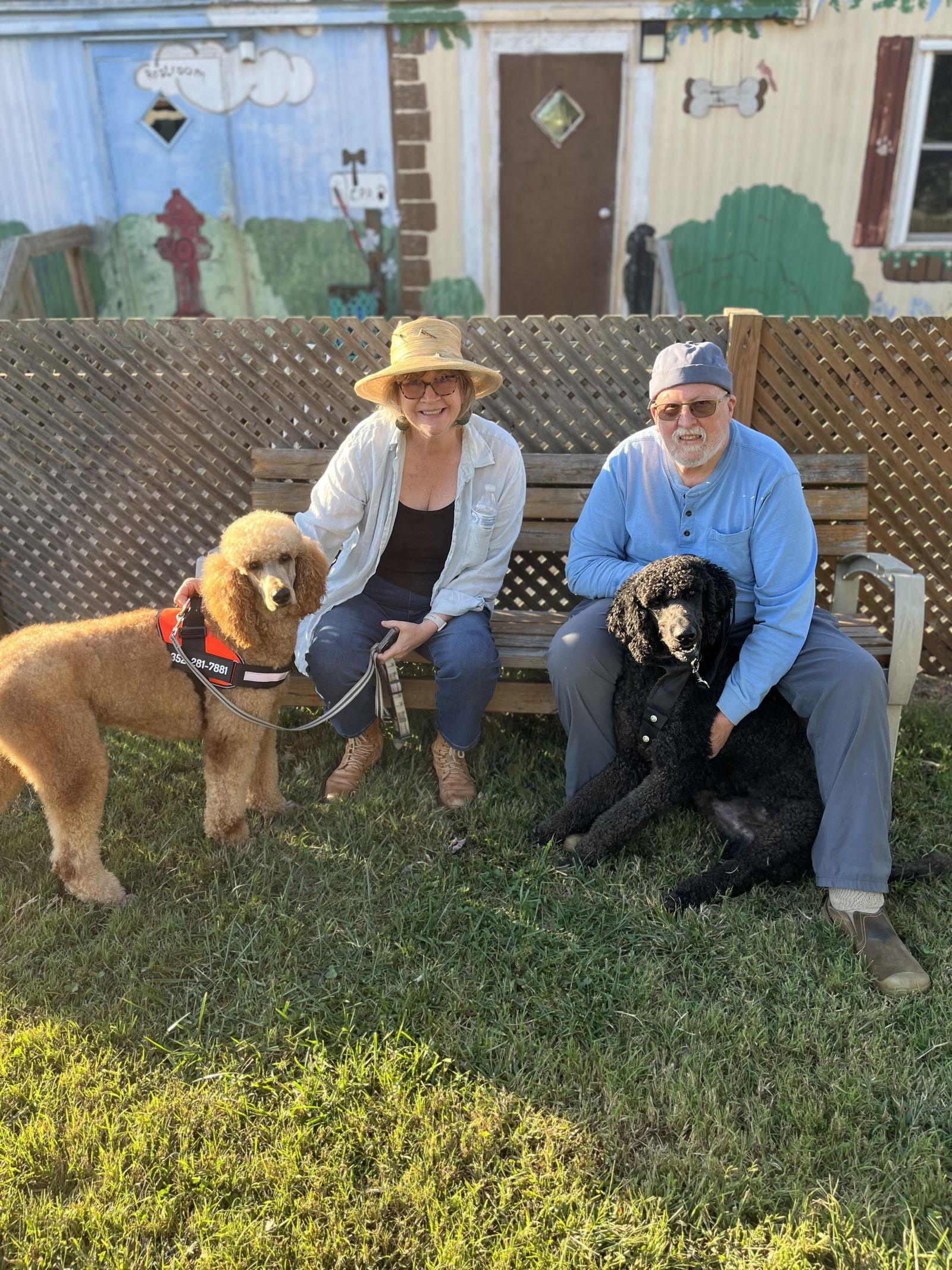 Enlarge Lance Aug 23, a Adopted Standard Poodle in Pacolet, SC image 3/3