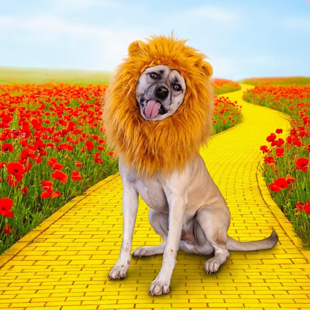 Sweet Baby Ray thumbnail 2