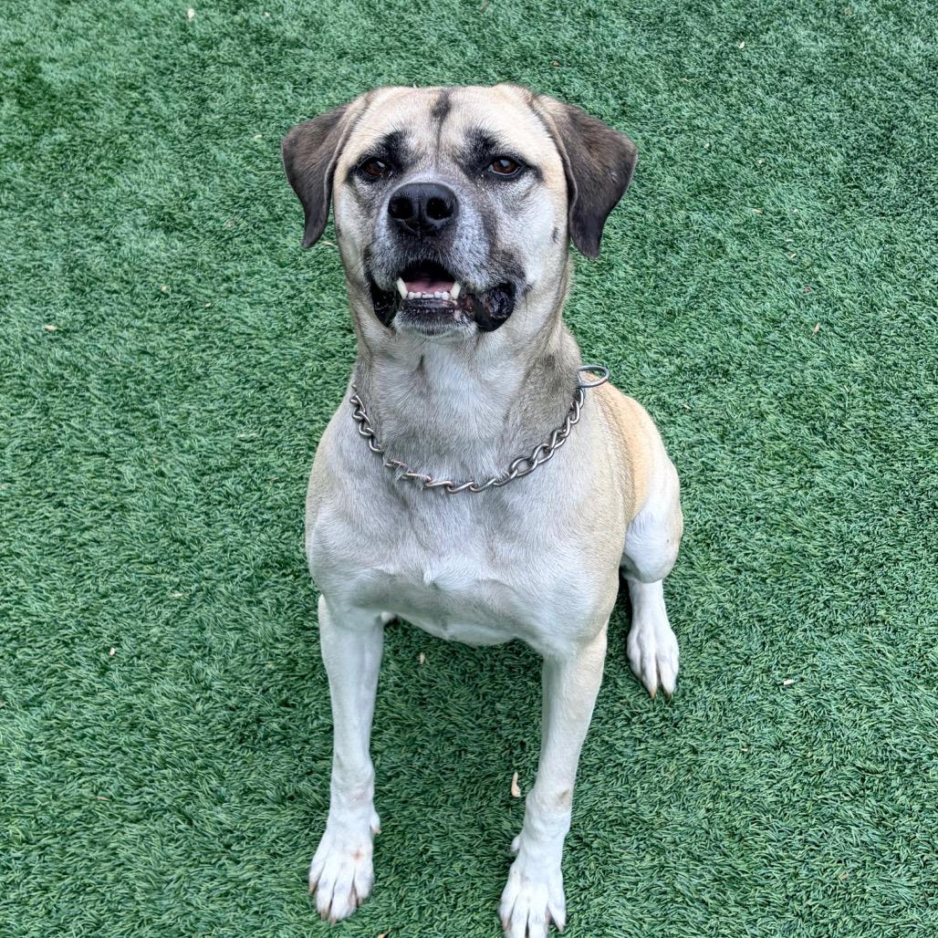 Sweet Baby Ray thumbnail 3