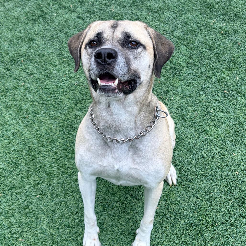 Sweet Baby Ray thumbnail 4