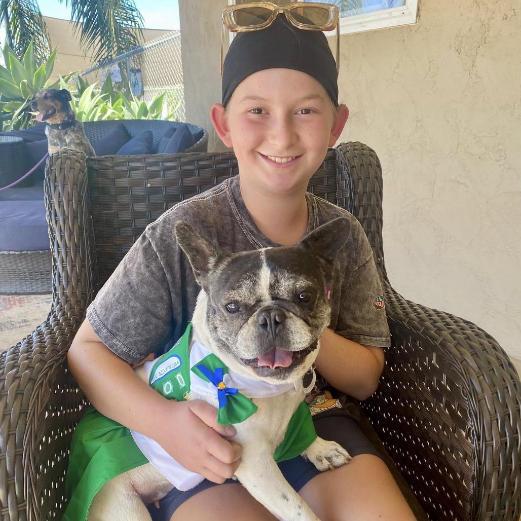 Enlarge Polly Pocket, a Adoptable French Bulldog in Ramona, CA image 4/6