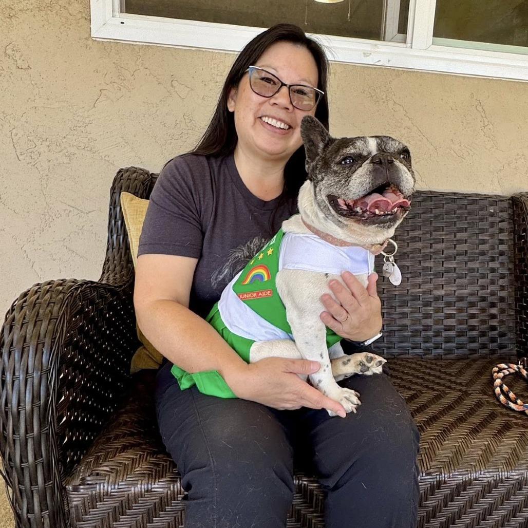 Enlarge Polly Pocket, a Adoptable French Bulldog in Ramona, CA image 4/6
