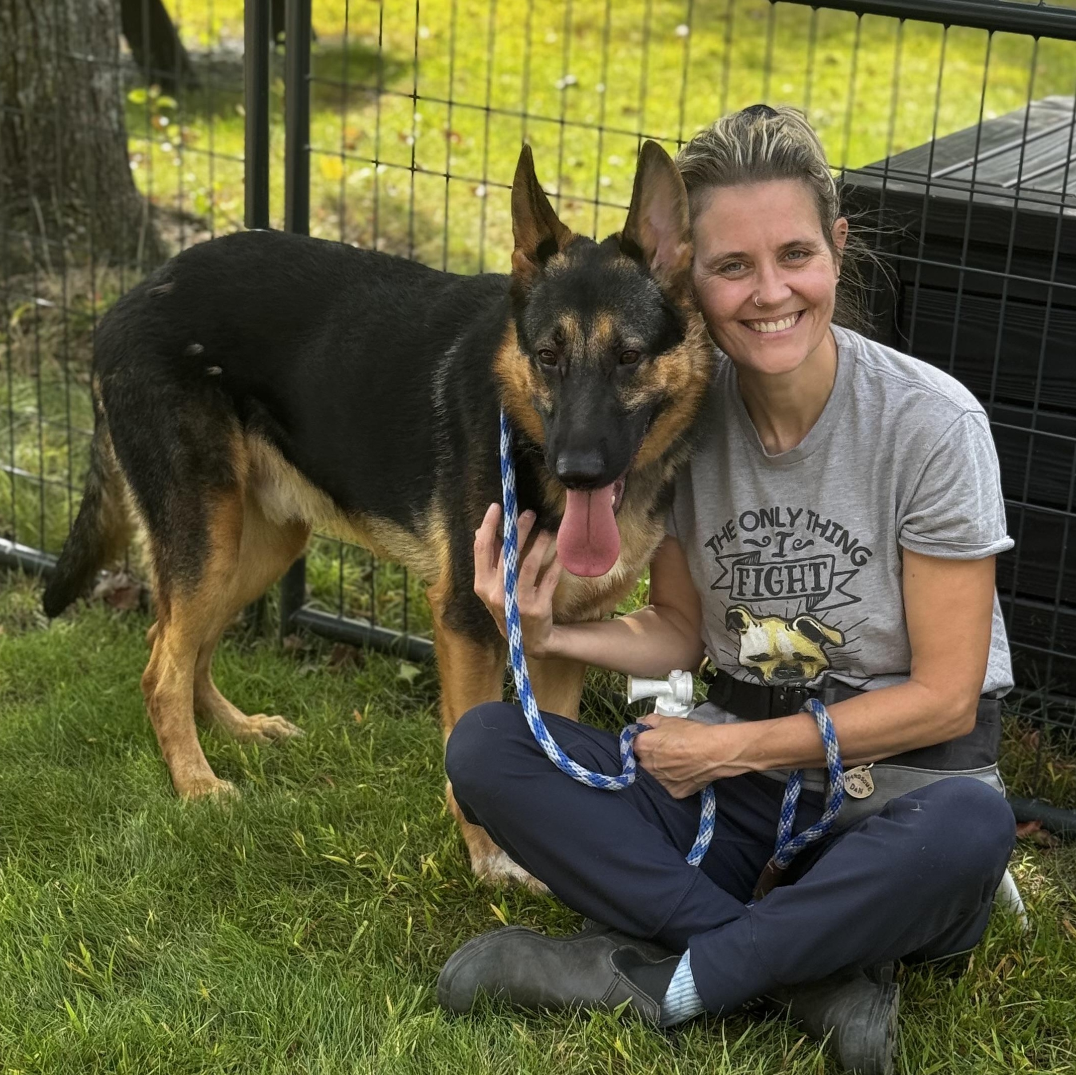 Enlarge Jayce, an adopted German Shepherd Dog in Cranston, RI image 1/5