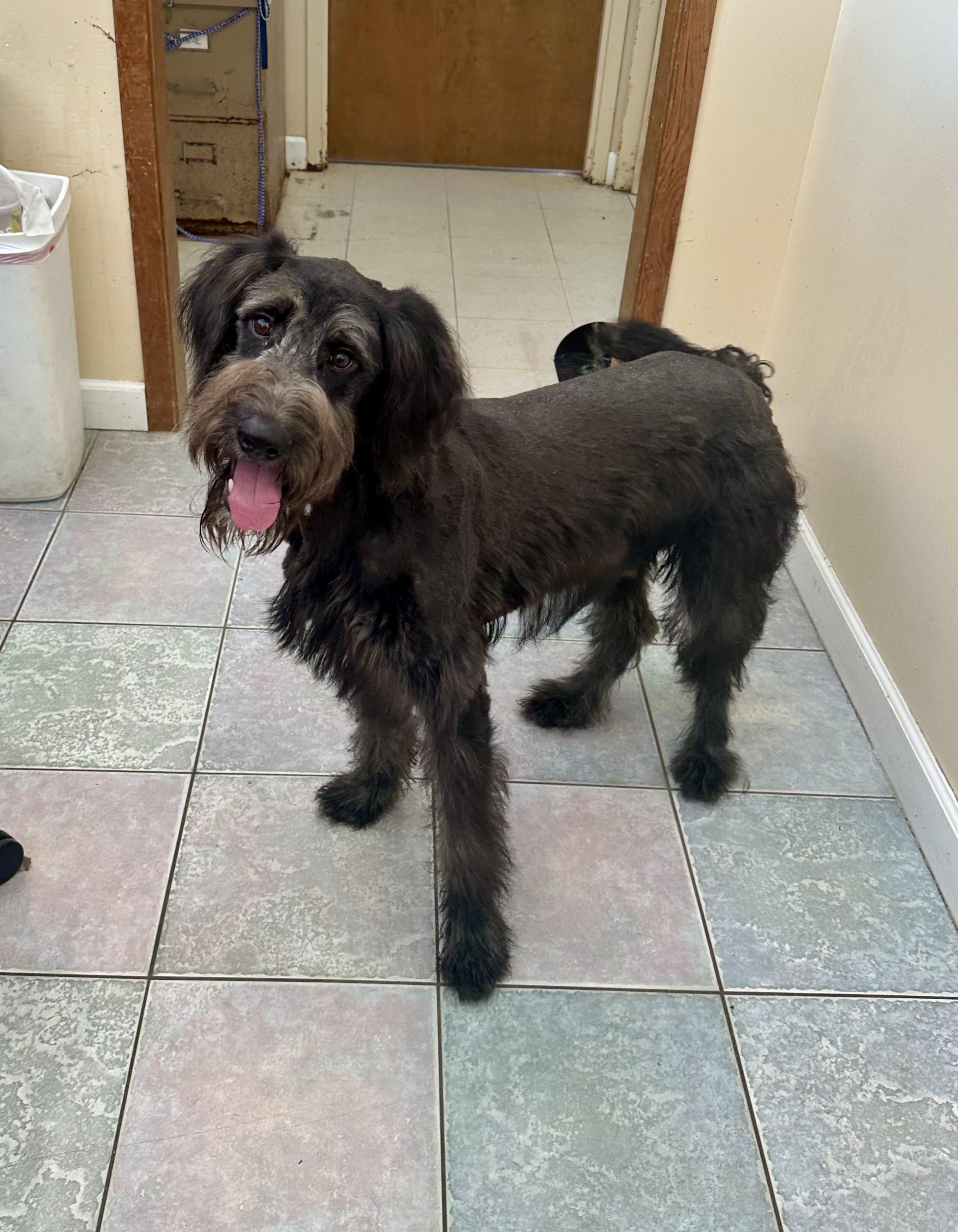 WHAT IS HE?? GIANT SCHNOODLE?