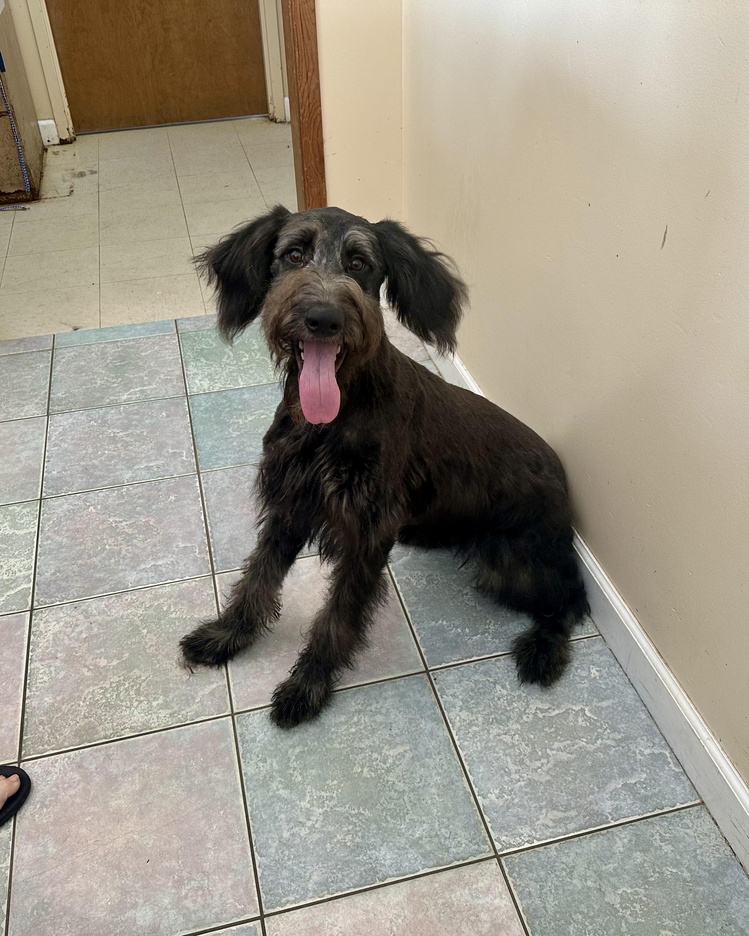 WHAT IS HE?? GIANT SCHNOODLE?