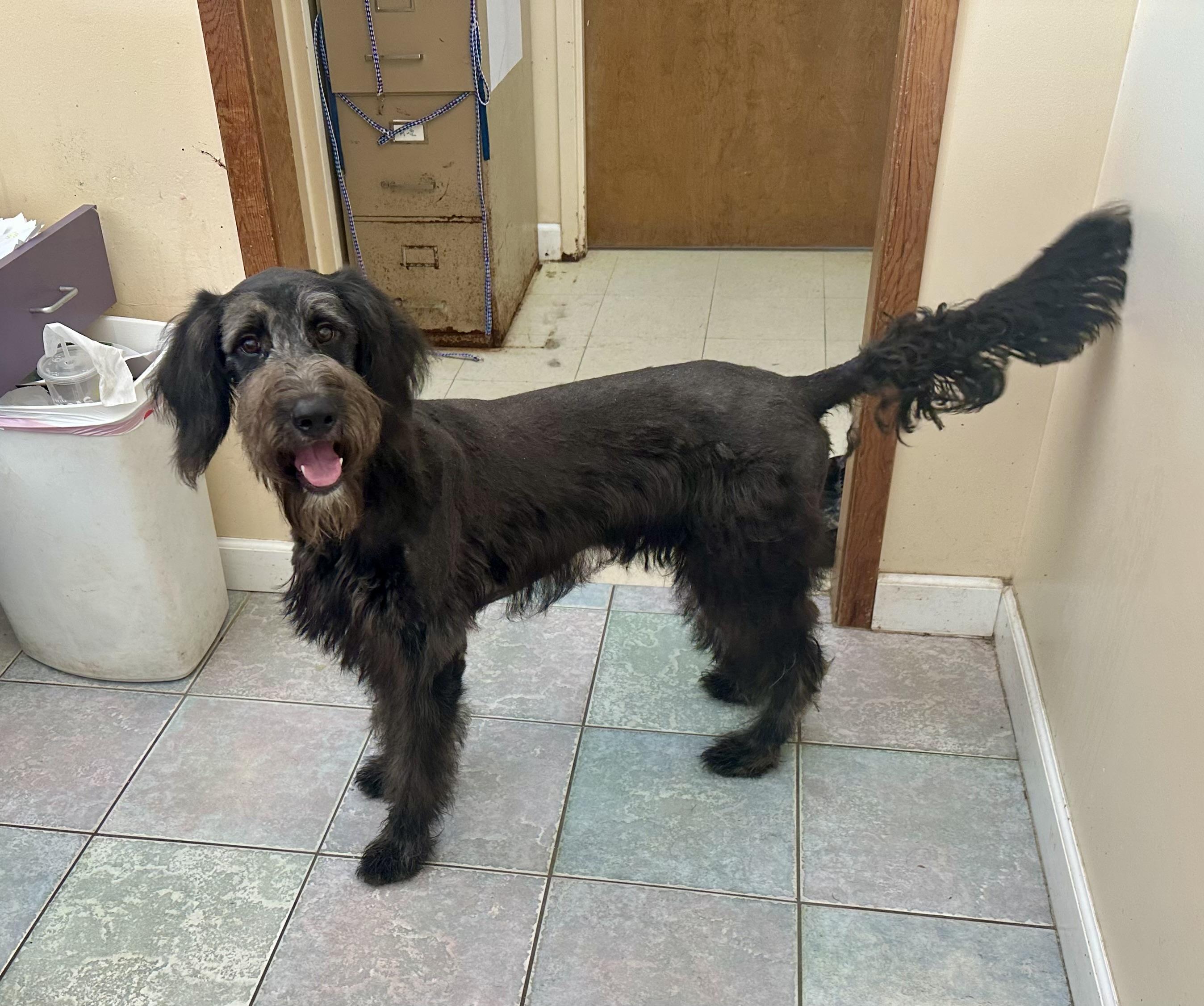 WHAT IS HE?? GIANT SCHNOODLE?