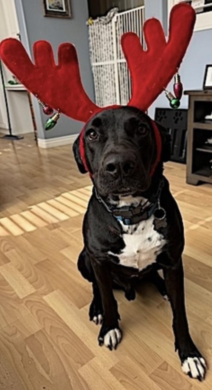 Loreto — thumbnail 5