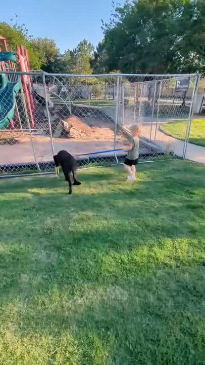 Enlarge Jetti, a ADOPTABLE mixed breed in Cypress, TX video 5/6