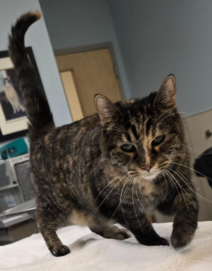 Kairi — thumbnail 2