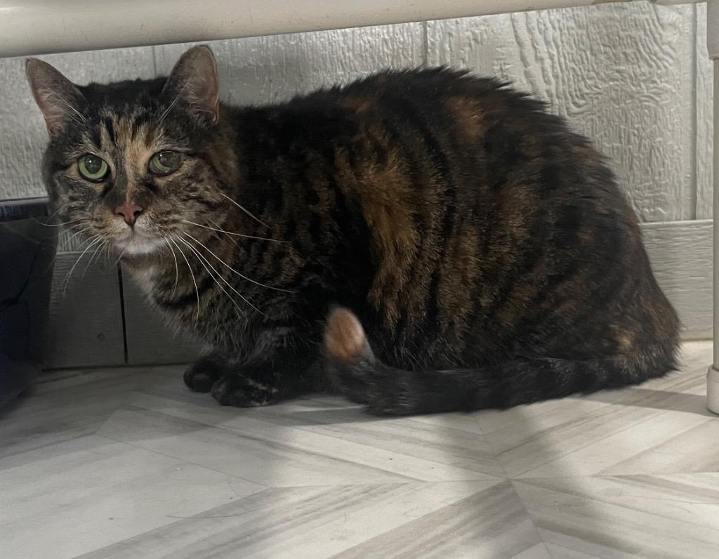 Kairi — thumbnail 3