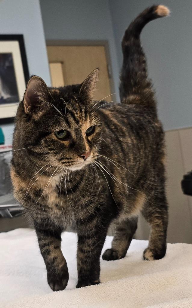 Kairi — thumbnail 5